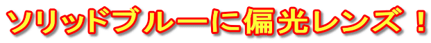 �\���b�h�u���[�ɕΌ������Y�I
